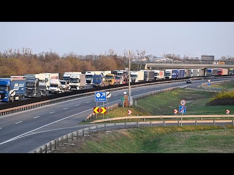 Estónia e Chéquia aplicam medidas para evitar propagação da febre aftosa
